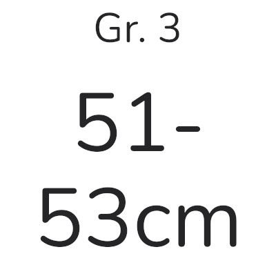 Gr. 3 (51 / 53)