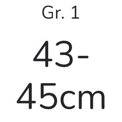 Gr. 1 (43 / 45)