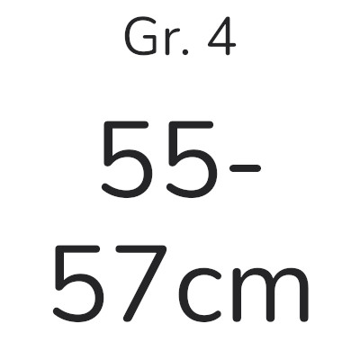 Gr. 4 (55 / 57)